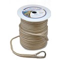 302110100G/W